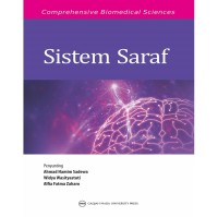 Image of Sistem Saraf